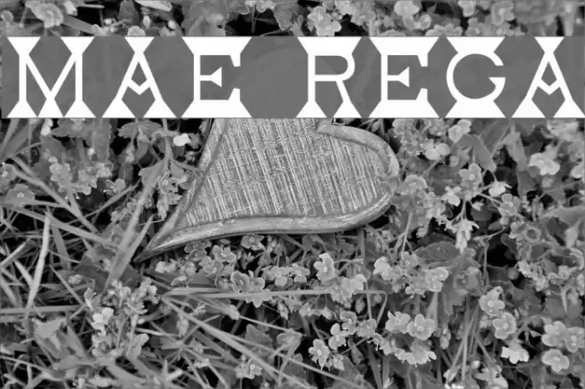 Mantel Regular Font examples