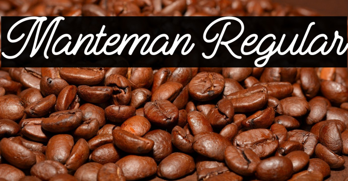 Manteman Regular Example 1