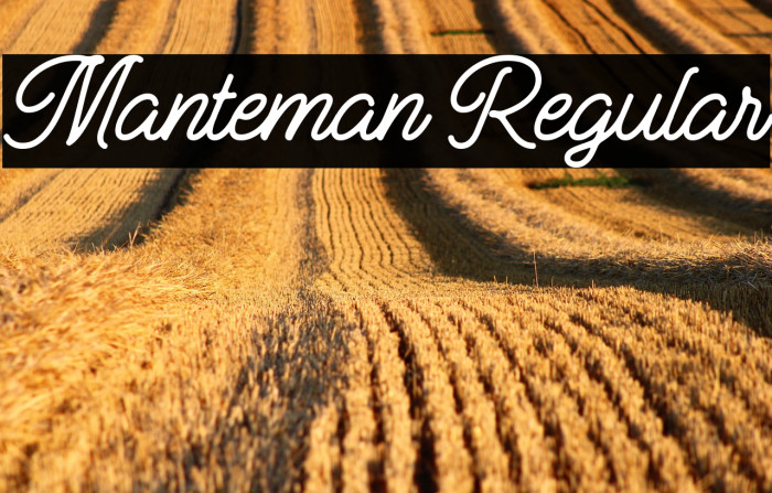 Manteman Regular Example 3