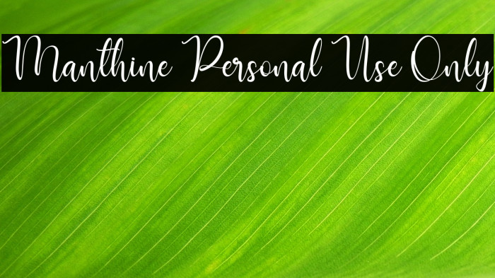 Manthine Personal Use Only Example 1