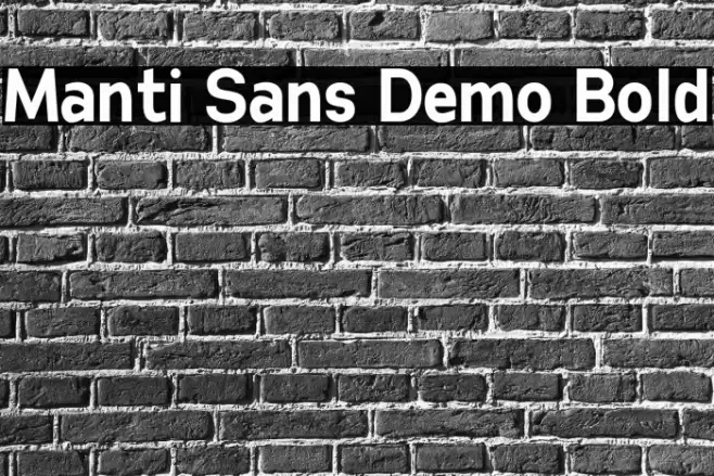 Manti Sans Demo Bold Fuentes examples