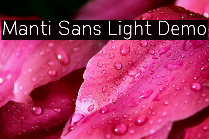 Manti Sans Light Demo Fuentes examples