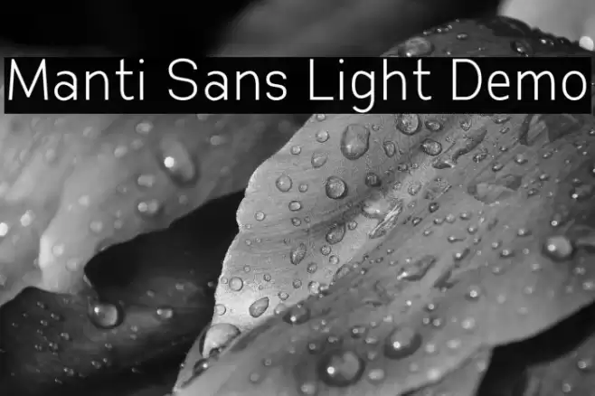Manti Sans Light Demo Fuentes examples