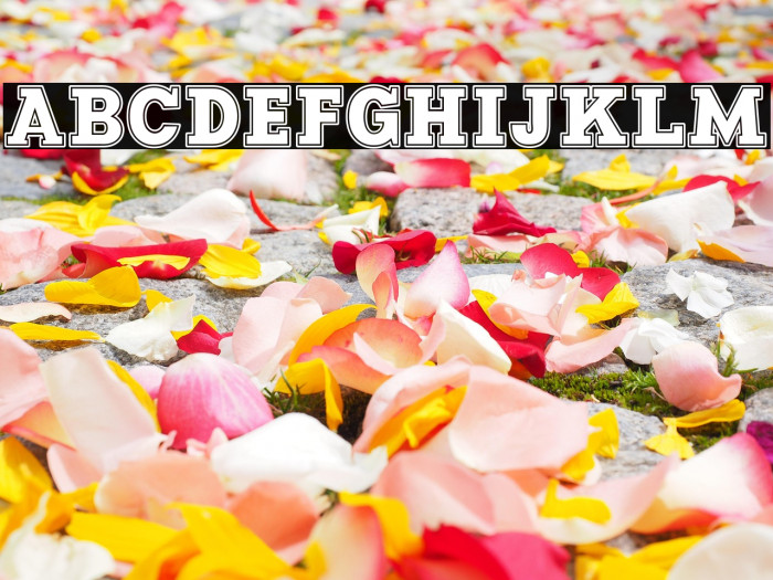 Manti Slab College Demo Example 1