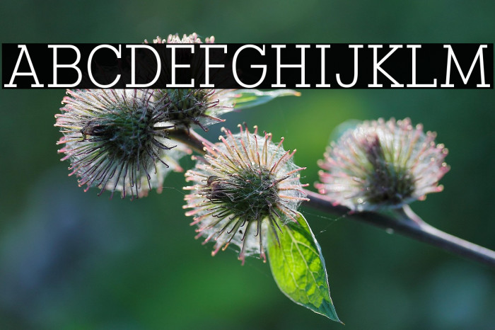 Manti Slab Light Demo Example 3