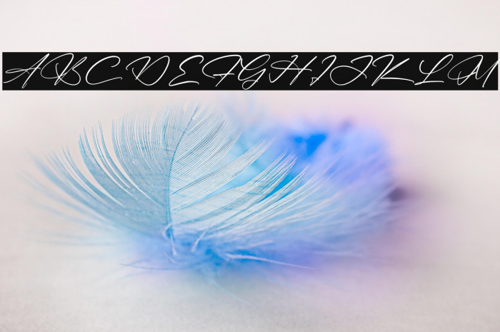 Mantilda & Briant Example 2