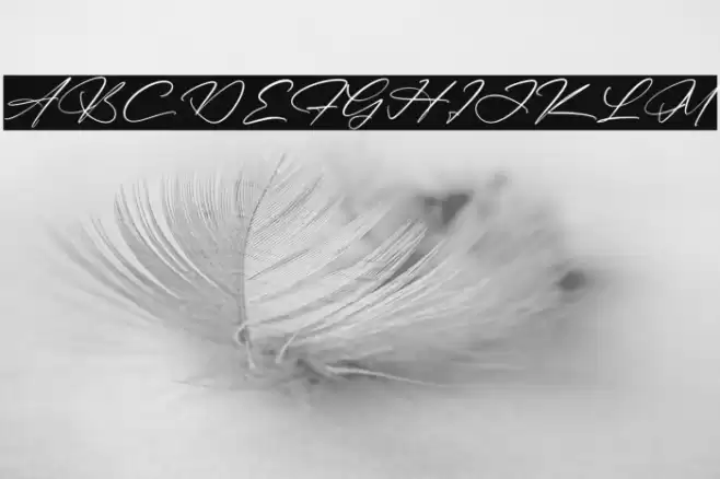 Mantilda & Briant Font examples