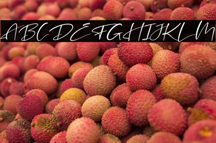 Mantilda Edition Italic Example 1