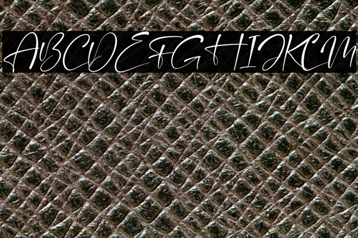 Mantilda Kristine Italic Example 1