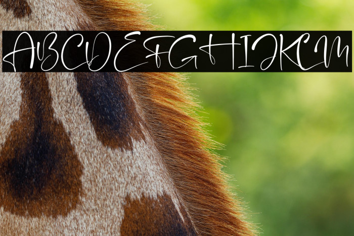 Mantilda Kristine Example 2