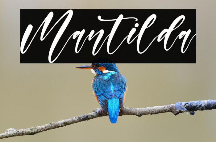 Mantilda Example 1