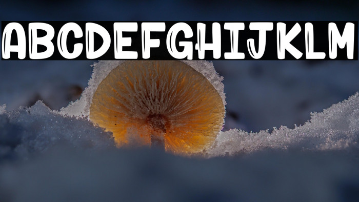 Mantis Rumble_PersonalUseOnly Example 1