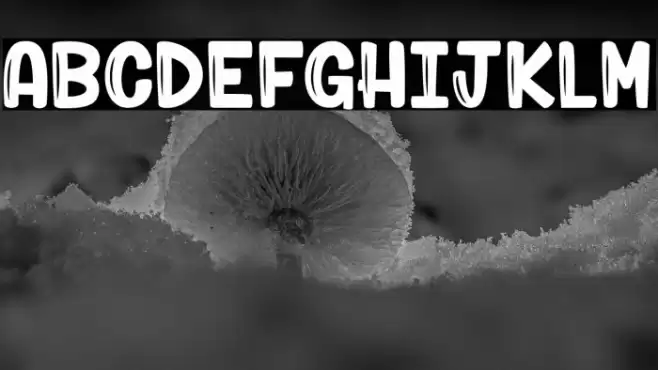 Mantis Rumble_PersonalUseOnly Polices examples