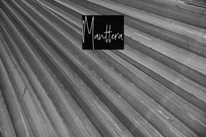 Manttera Example 1