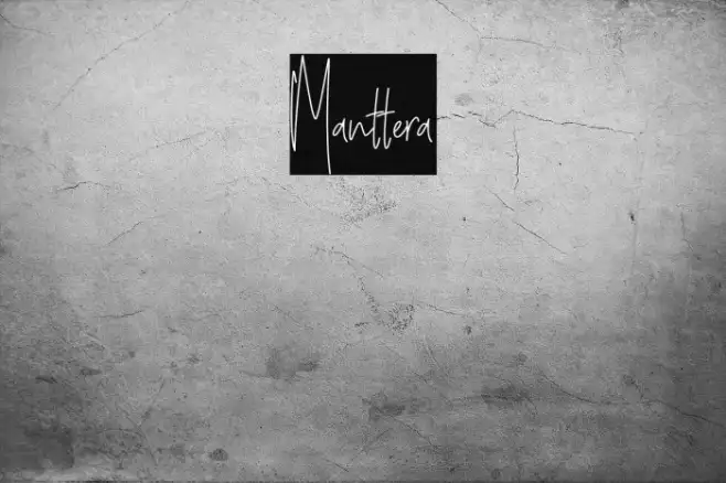 Manttera Example 3