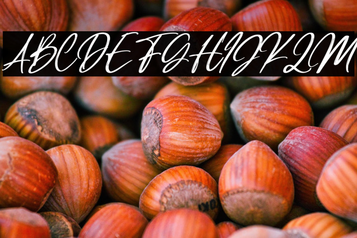 Manttilda Italic Example 1