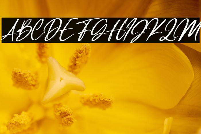 Manttilda Italic Example 3