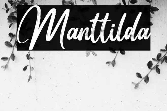 Manttilda Example 2