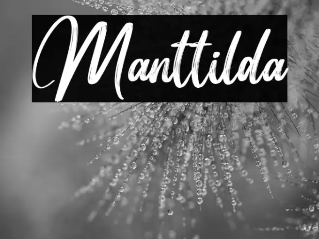 Manttilda Example 3