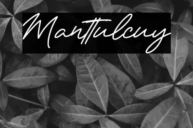 Manttulcuy Example 1