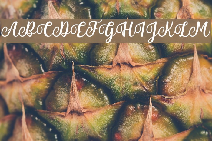 Mantul Font examples