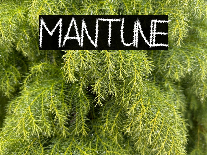 Mantune Example 2