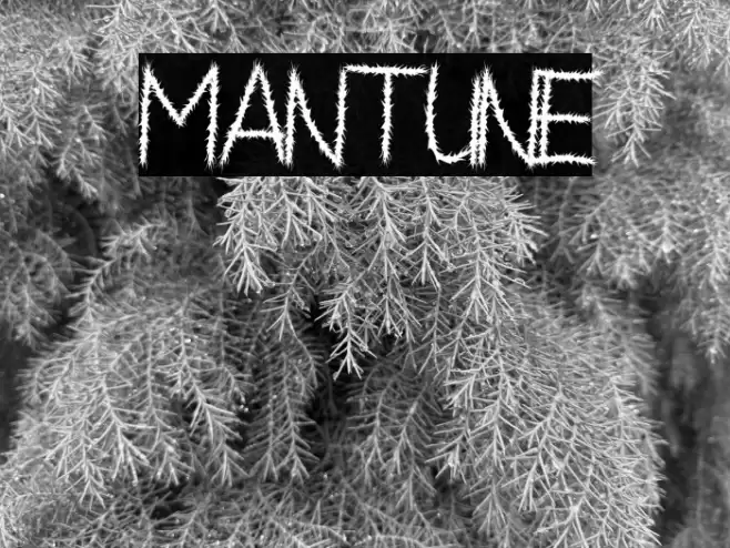 Mantune Font examples