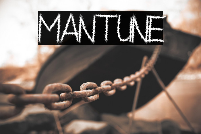 Mantune Example 3