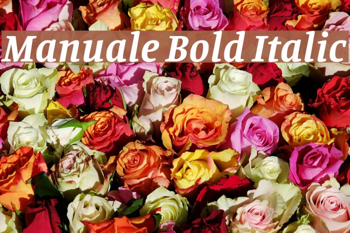 Manuale Bold Italic Font examples