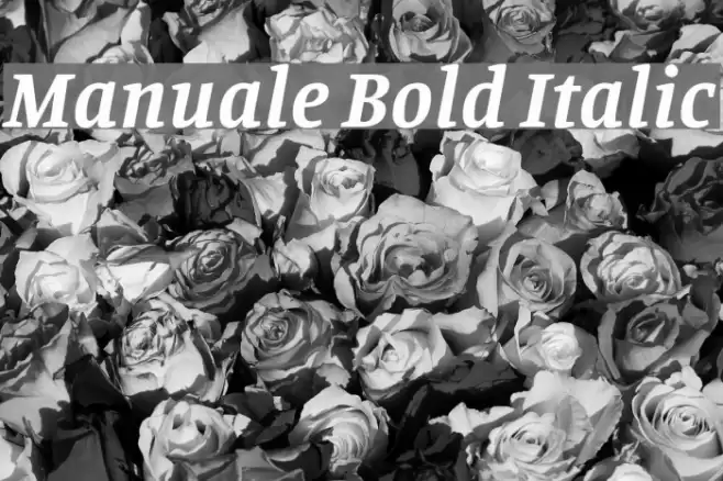 Manuale Bold Italic Fonte examples