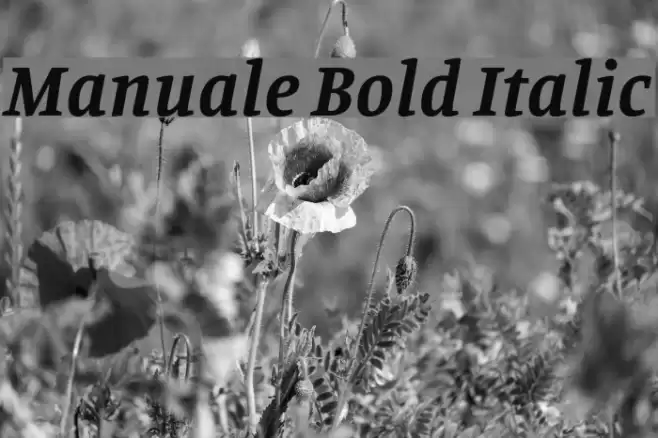 Manuale Bold Italic Fonte examples