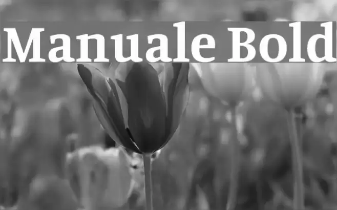 Manuale Bold Font examples