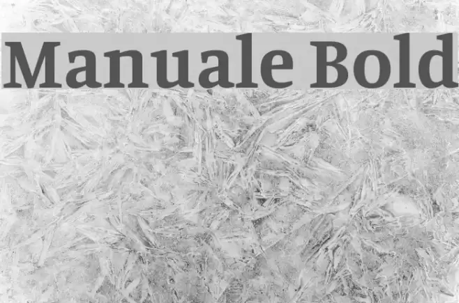 Manuale Bold Font examples
