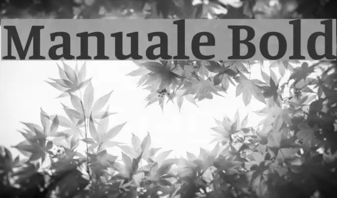 Manuale Bold Font examples
