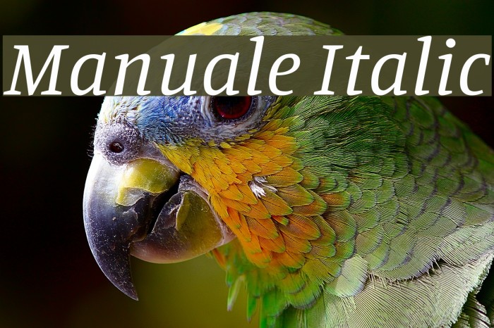 Manuale Italic Font examples