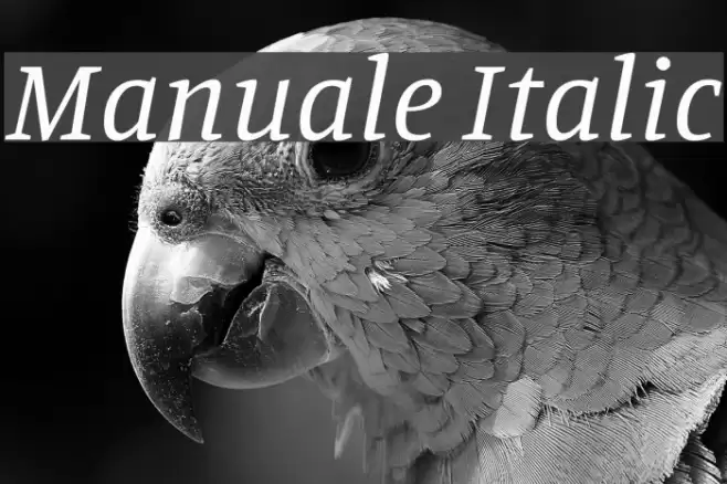 Manuale Italic Font examples