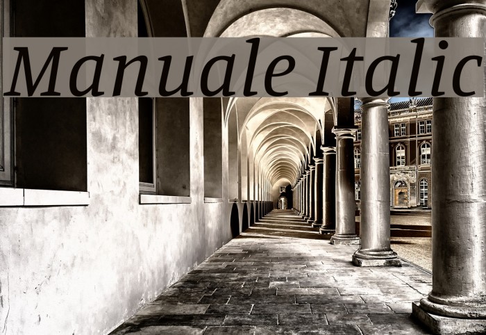 Manuale Italic Font examples