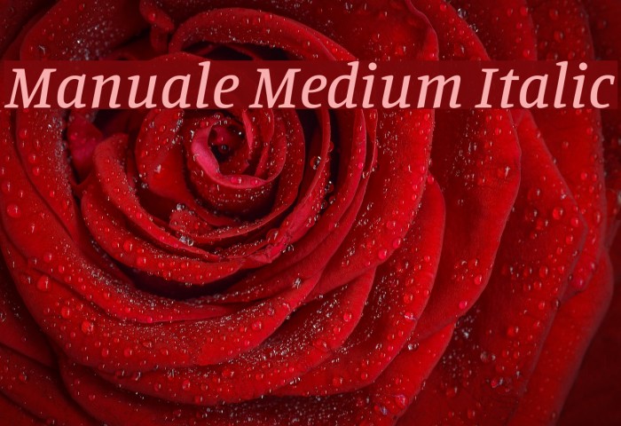 Manuale Medium Italic Font examples