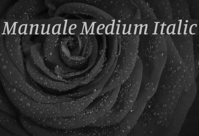 Manuale Medium Italic Font examples