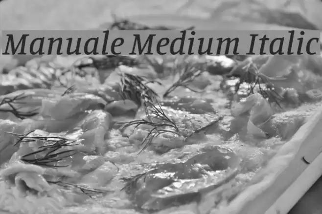 Manuale Medium Italic Font examples