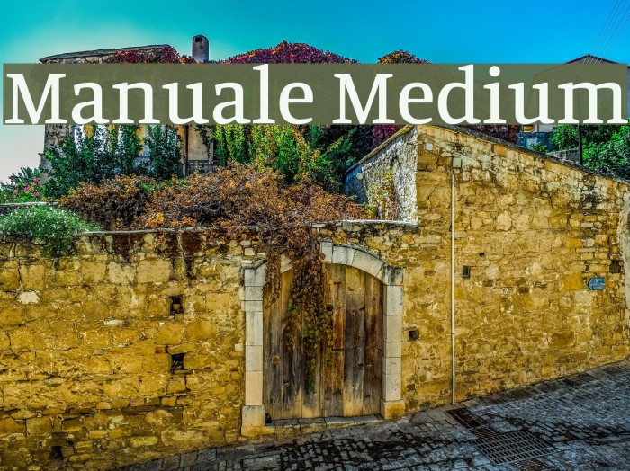 Manuale Medium Schriftart examples