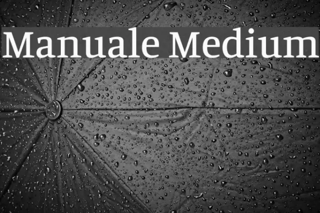 Manuale Medium Schriftart examples