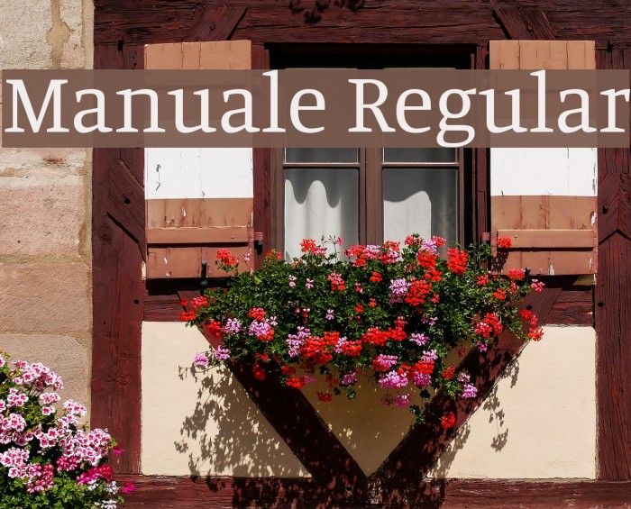 Manuale Regular Font examples