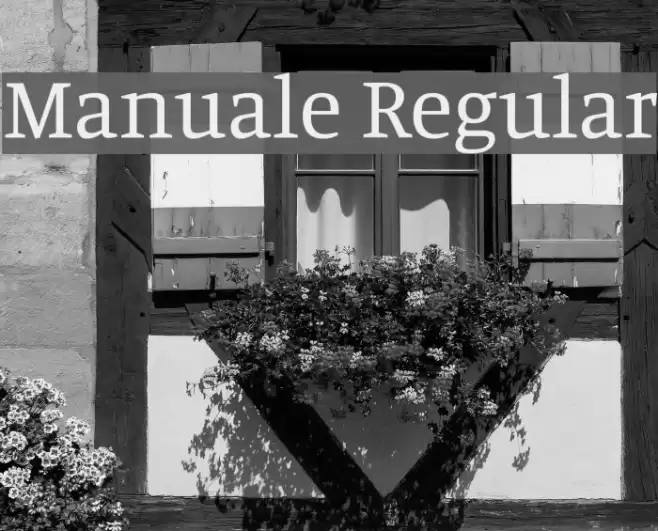 Manuale Regular Font examples
