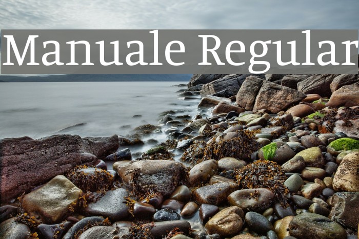 Manuale Regular Font examples
