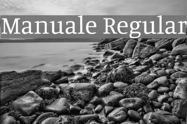 Manuale Regular Font examples