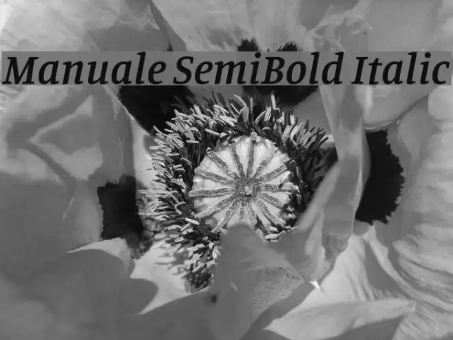 Manuale SemiBold Italic Font examples