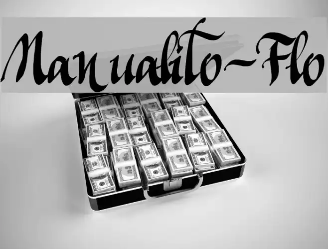 Manualito-Flo Example 1