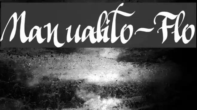 Manualito-Flo Example 3
