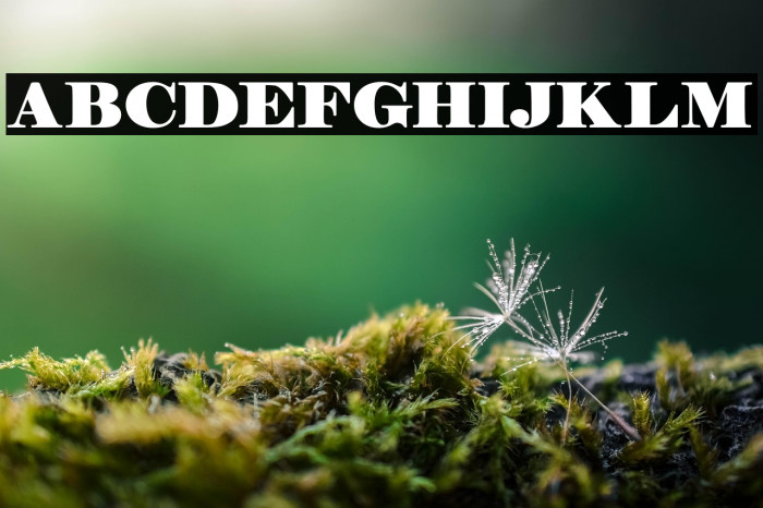 Manuell Regular Example 1